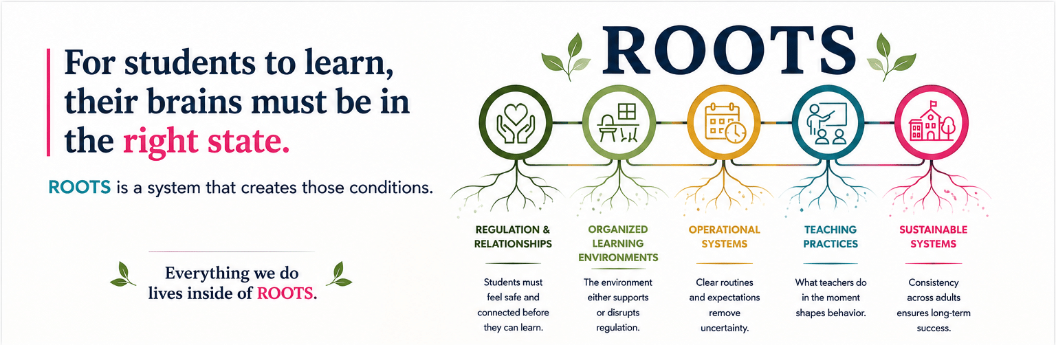 What Is the ROOTS Framework?