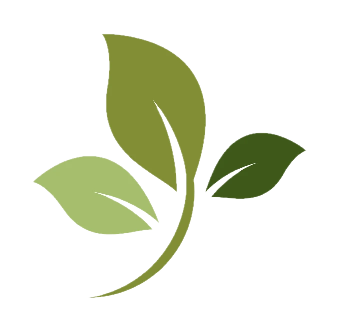 ROOTS leaf icon